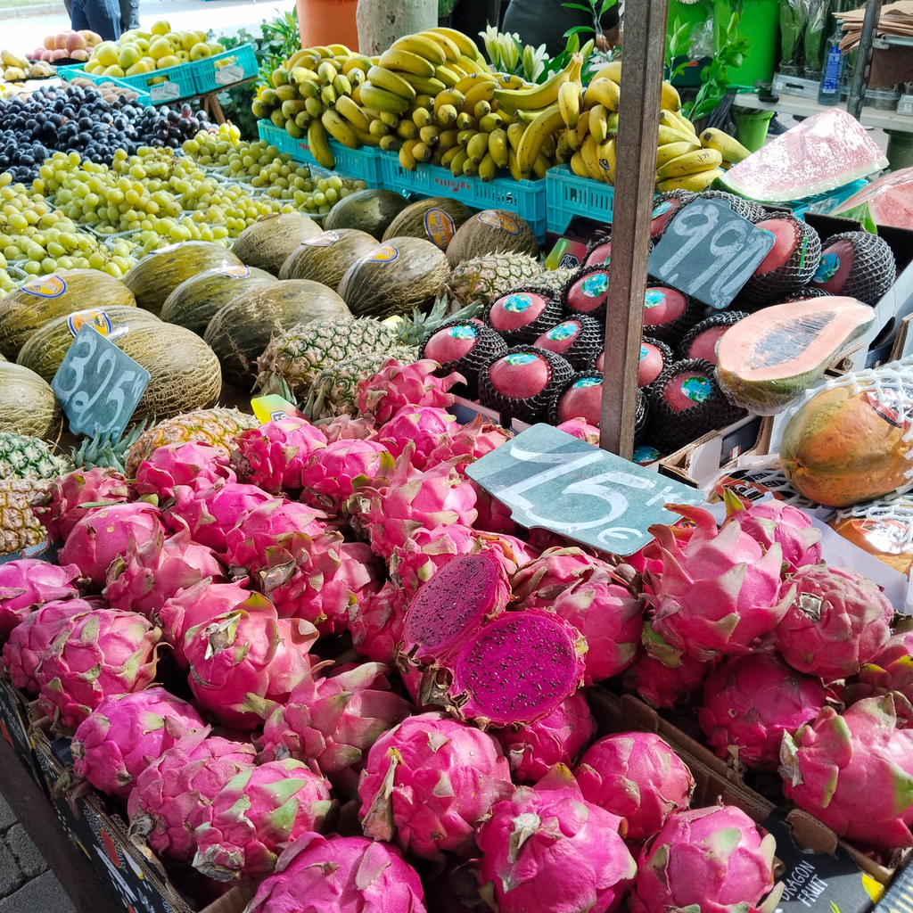VEGANER URLAUB AUF MALLORCA