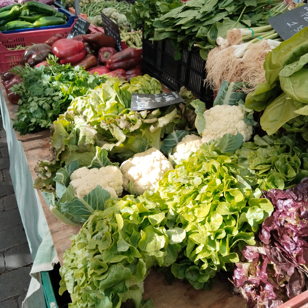 VEGANER URLAUB AUF MALLORCA